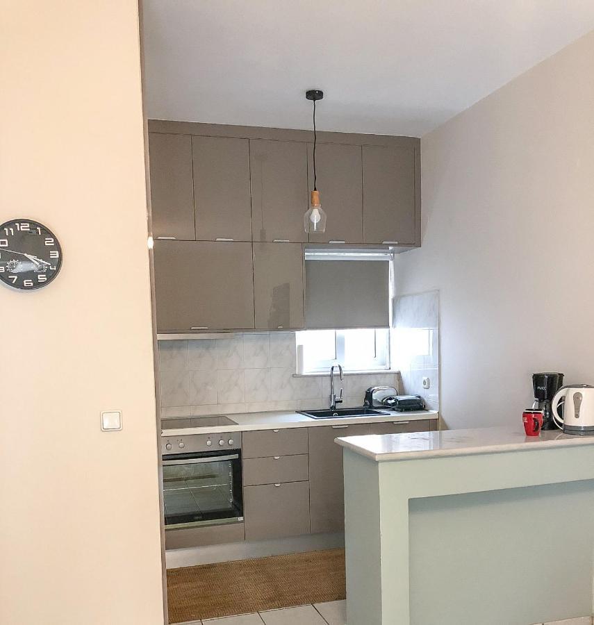 Sofia City Beach Apt. Nea Chora Chania 干尼亞 外观 照片