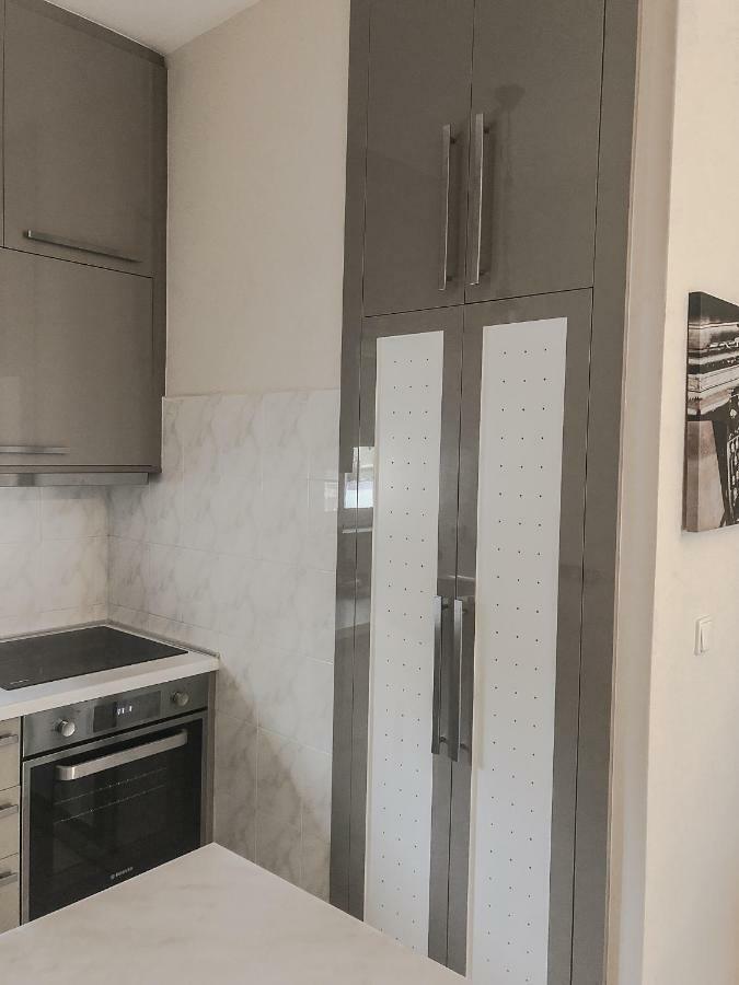 Sofia City Beach Apt. Nea Chora Chania 干尼亞 外观 照片