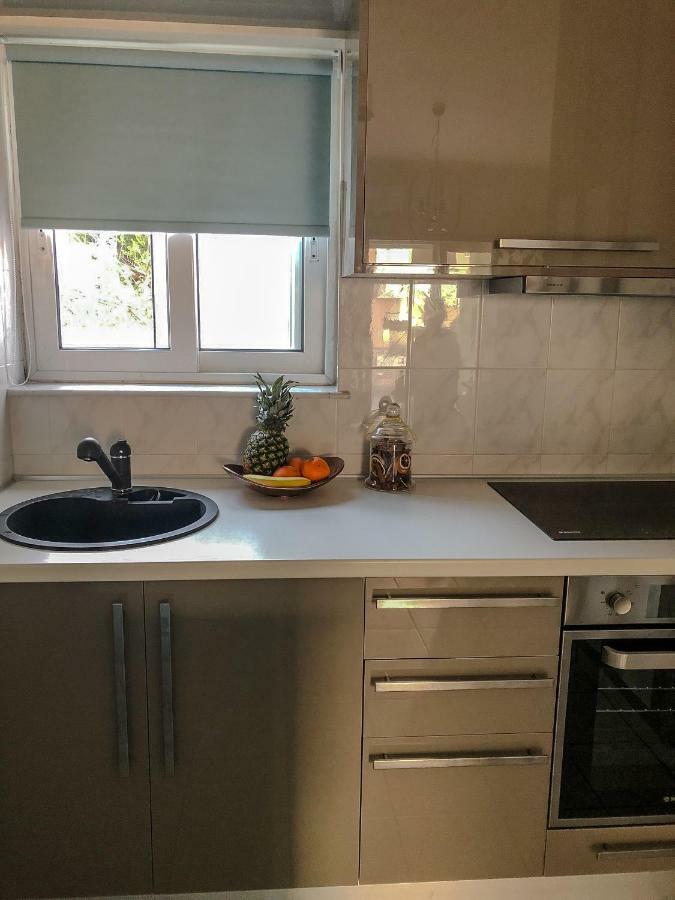 Sofia City Beach Apt. Nea Chora Chania 干尼亞 外观 照片